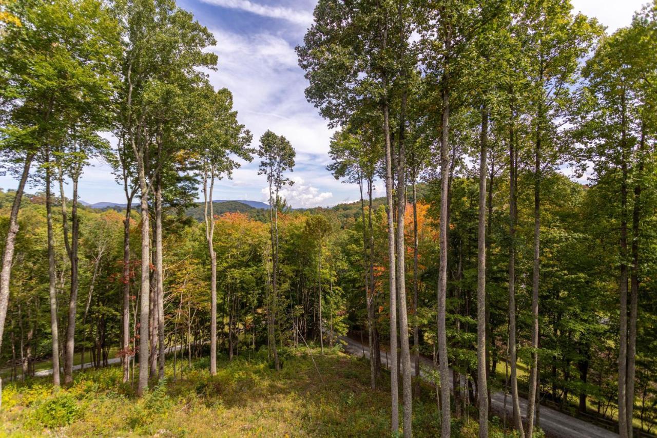 Matney Ridge Estate Villa Banner Elk Kültér fotó